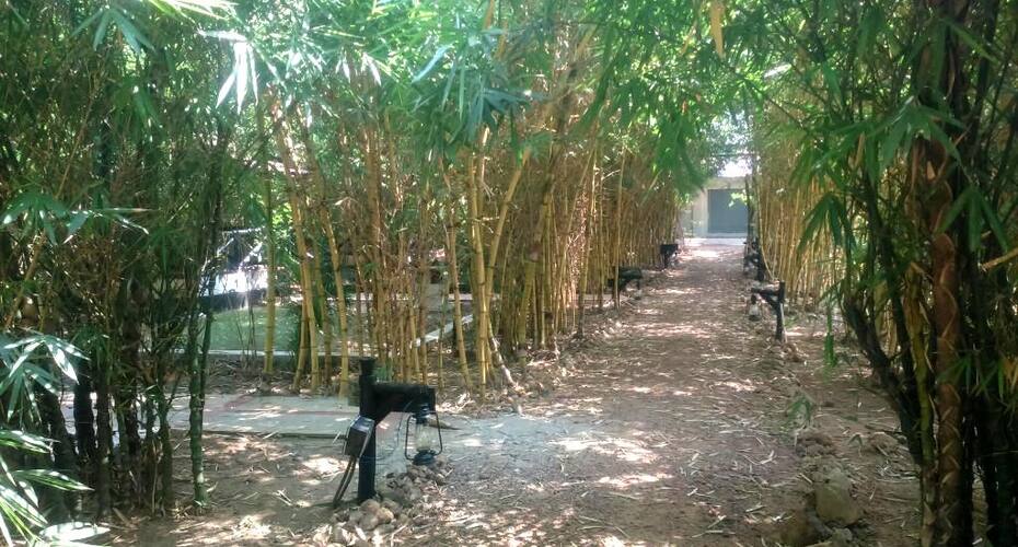 Kanha Treasure Inn Forest, Kanha 5